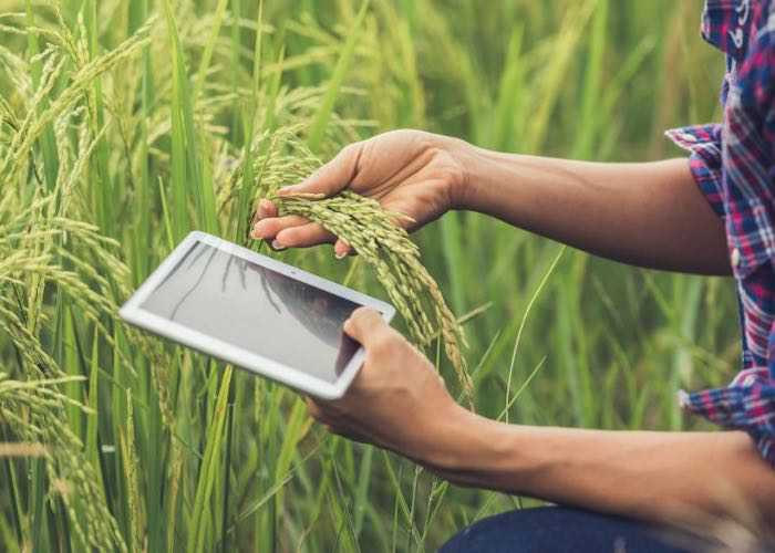 Penta Network Launches Supply Chain Partnership with the Uganda Ministry of Agriculture – Data to Be Hosted on CARI.net Servers