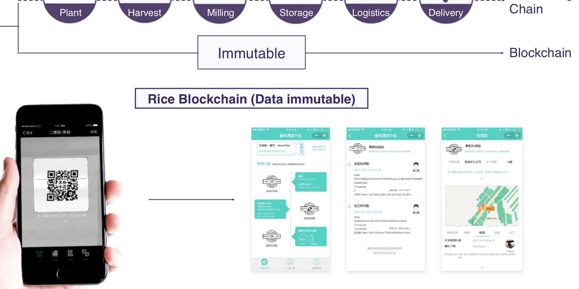 Penta Rice Supply Chain